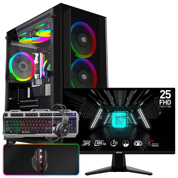 SETUP GAMER R5 3600-RX 6600 + G255F + HPG100