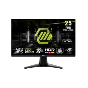 MSI-255XF-300Hz-Rapid-IPS-Setup-Game